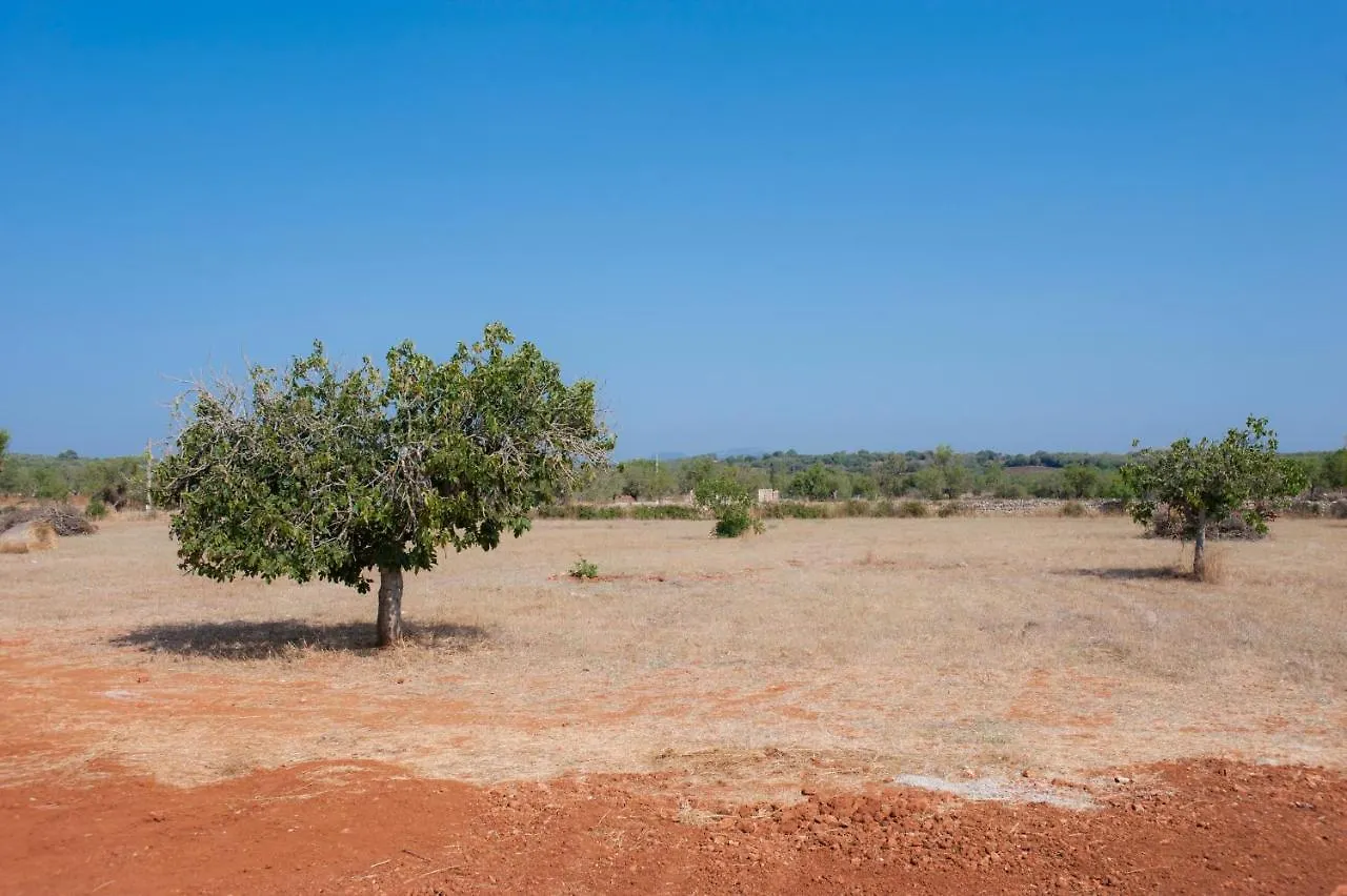 Finca Xorca Cas Concos 0*,  Spain